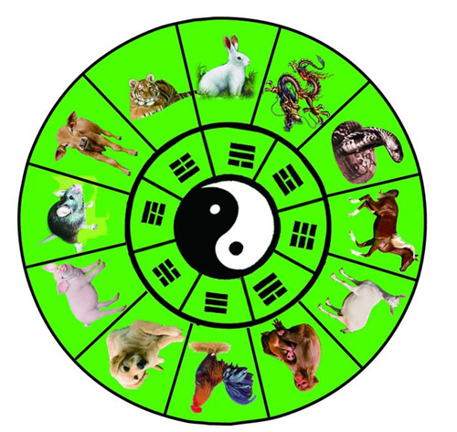 十二生肖走上财富之路该注意哪些