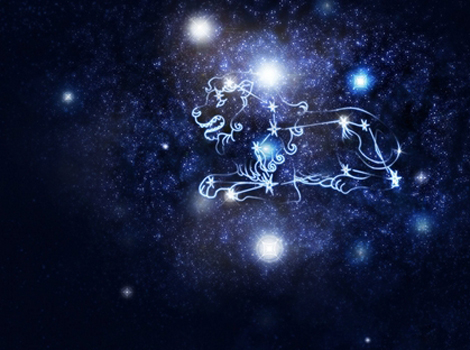 别掉进心机女的网站星座狮子座-易奇狮子水瓶男生属猴的套路座八字图片