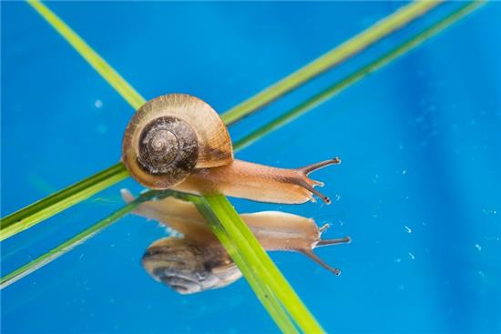 梦见自己的大牙特别大一边有双层大牙,周公解梦与深层寓意探析 梦见自己的大牙特别大一边有双层大牙,周公解梦与深层寓意探析