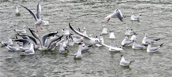 梦境的深意,9梦见抓鱼,究竟预示着什么? 梦境的深意,9梦见抓鱼,究竟预示着什么?