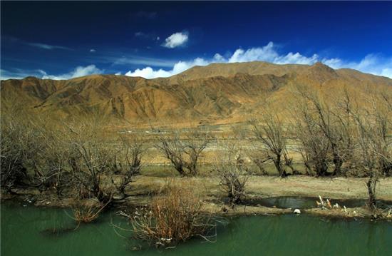 做梦梦到女裁缝师的什么意思分析-周公解梦-易