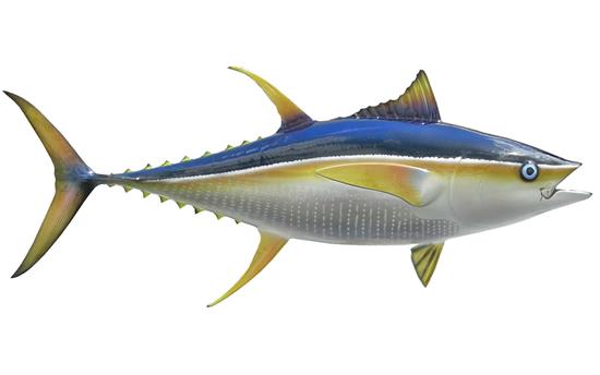 求解梦，好几次做梦梦到捕鱼，昨晚又梦到了