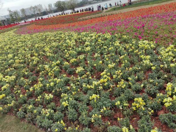 小满节气养生 小满饮食要注意清凉