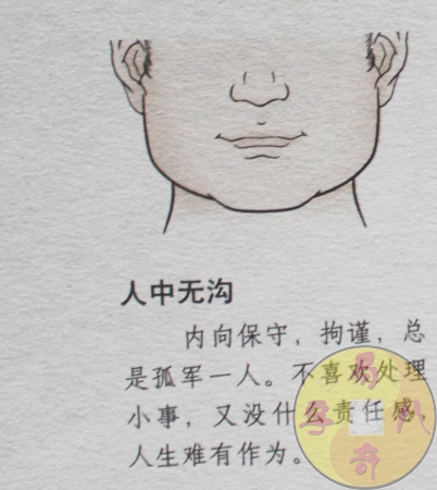 人中图解,人中看相,人中形状大全(第10页)_大山谷图库